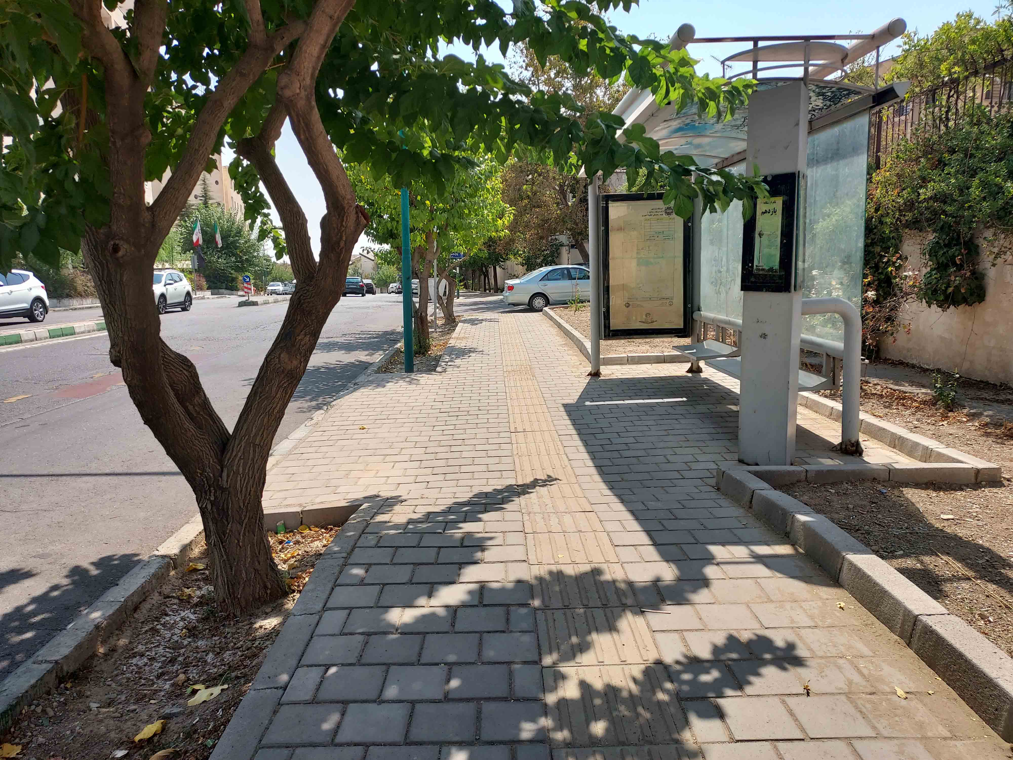    پیاده‌رو سازی خیابان زرافشان 