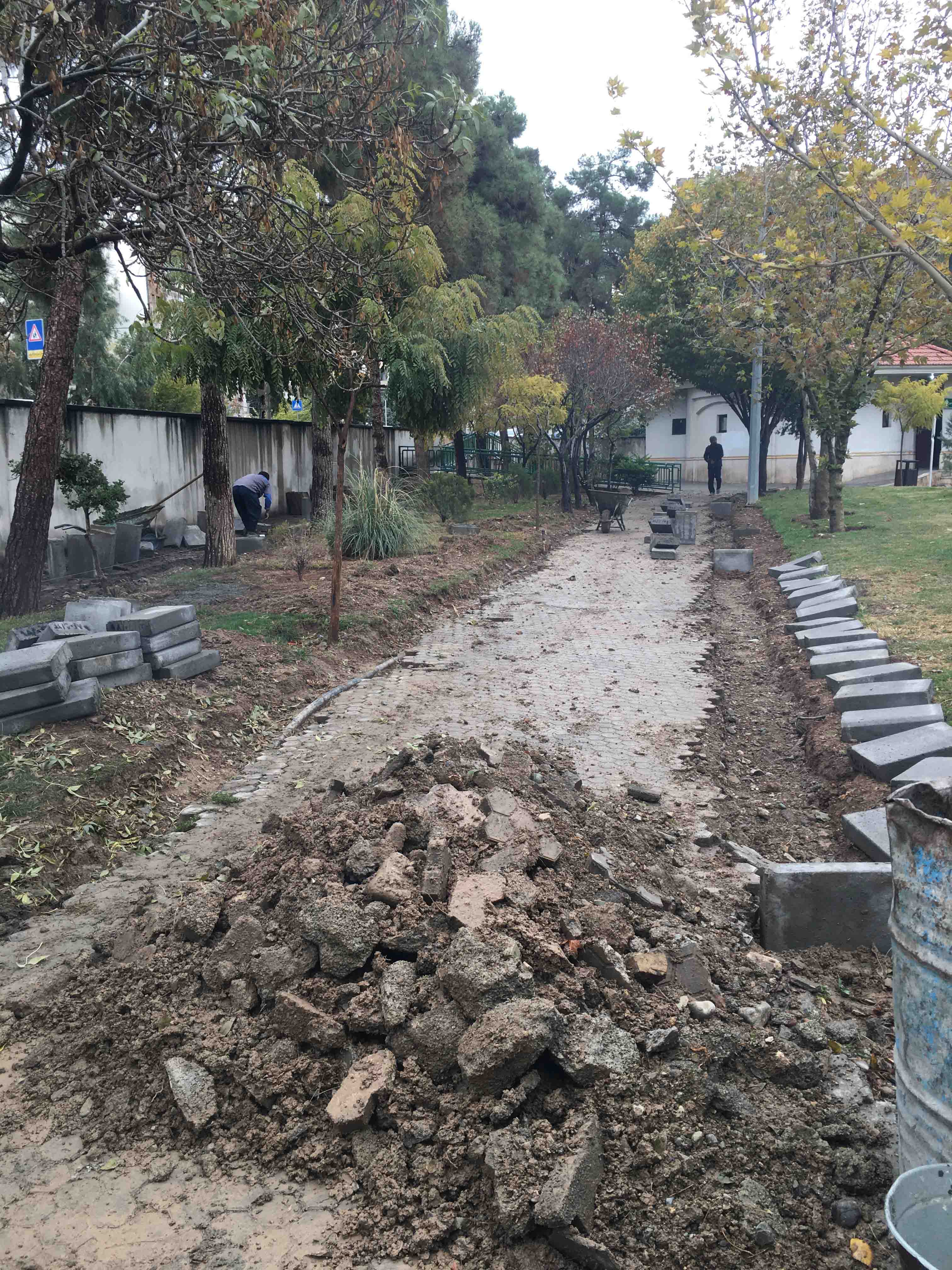   بوستان شاهین 